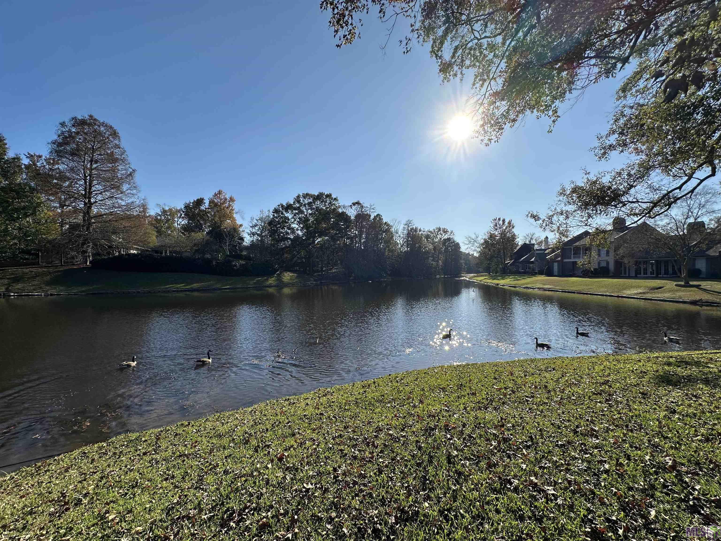 1635 Applewood Road Baton Rouge, LA 70808 - Photo 38 of 41 Gallery Image 38