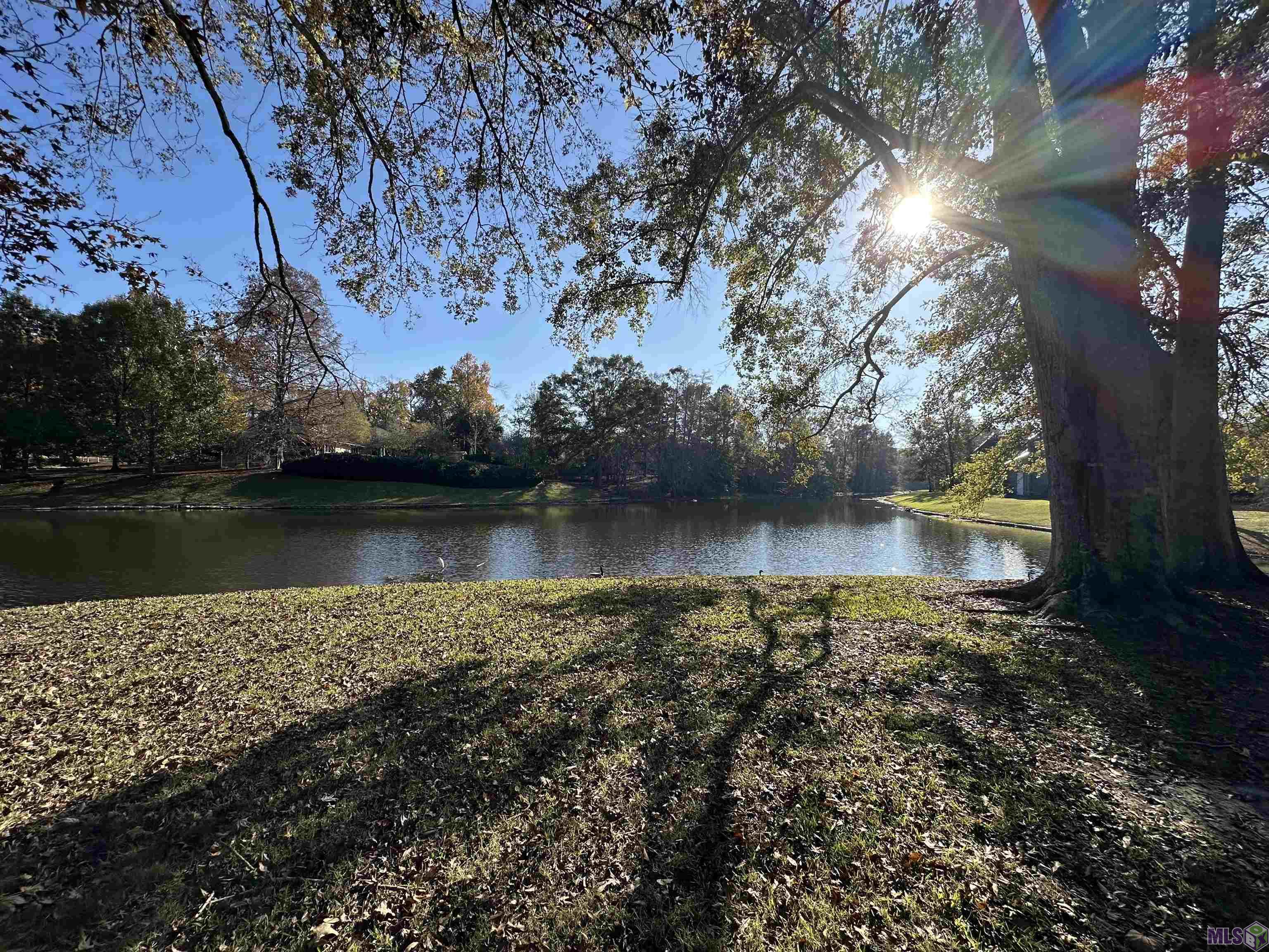 1635 Applewood Road Baton Rouge, LA 70808 - Photo 39 of 41 Gallery Image 39
