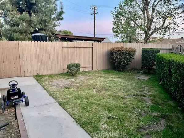 a view of a backyard with a tree