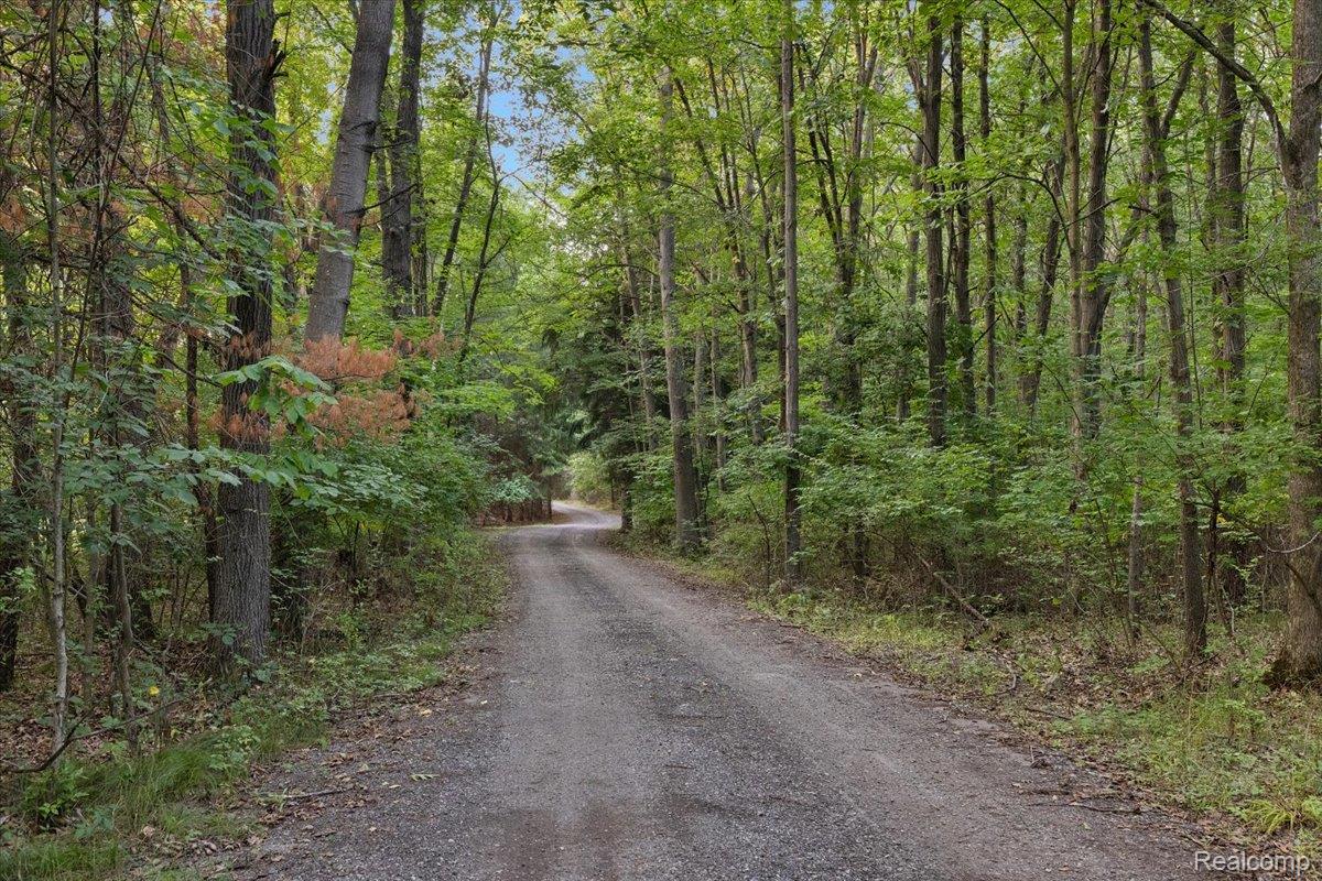 707 West Sutton Road Metamora, MI 48455 - Photo 14 of 84 Gravel driveway surrounded by mature trees