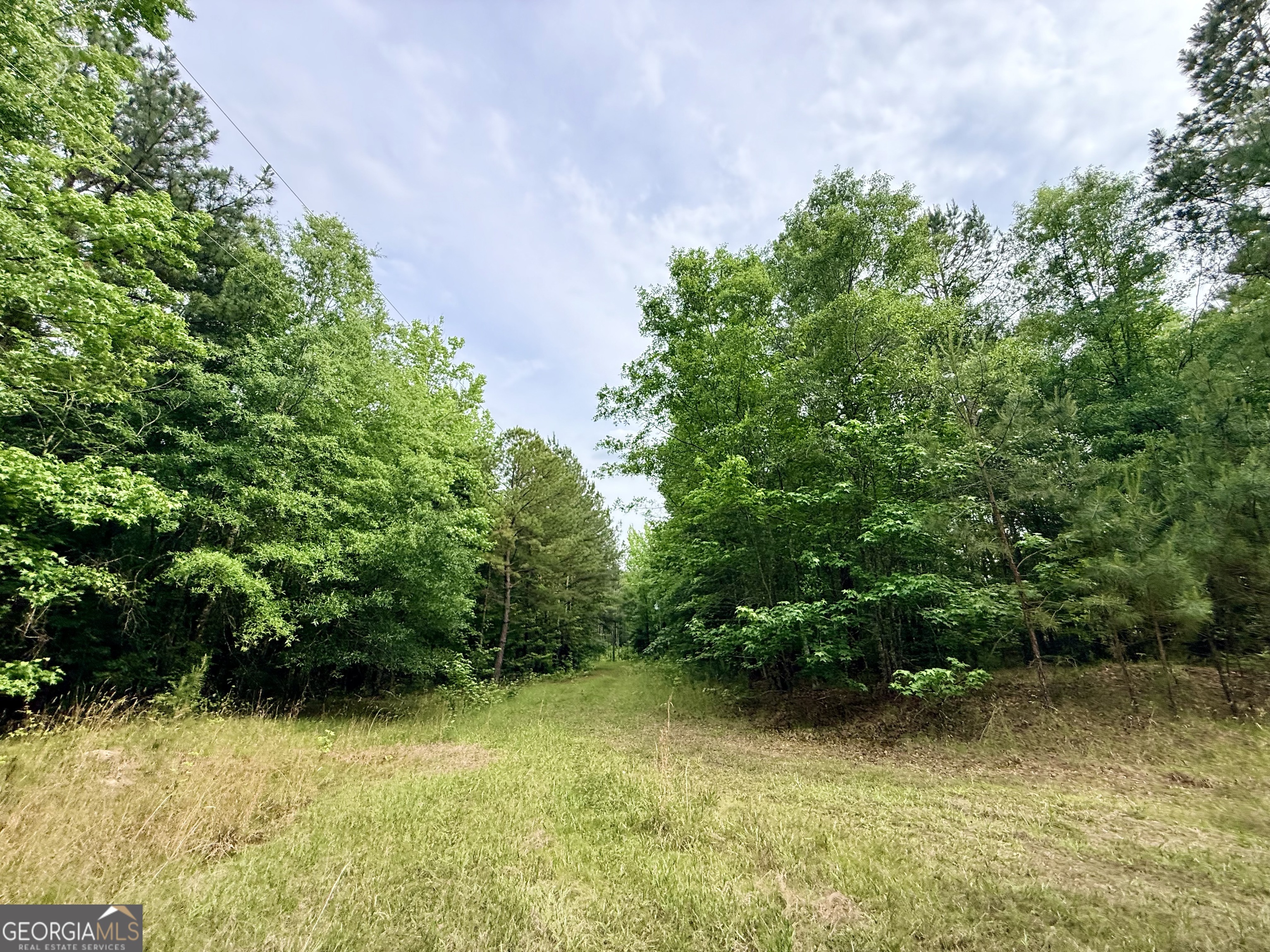 715 Fulsome Creek Road Sparta, GA 31087 - Photo 102 of 117