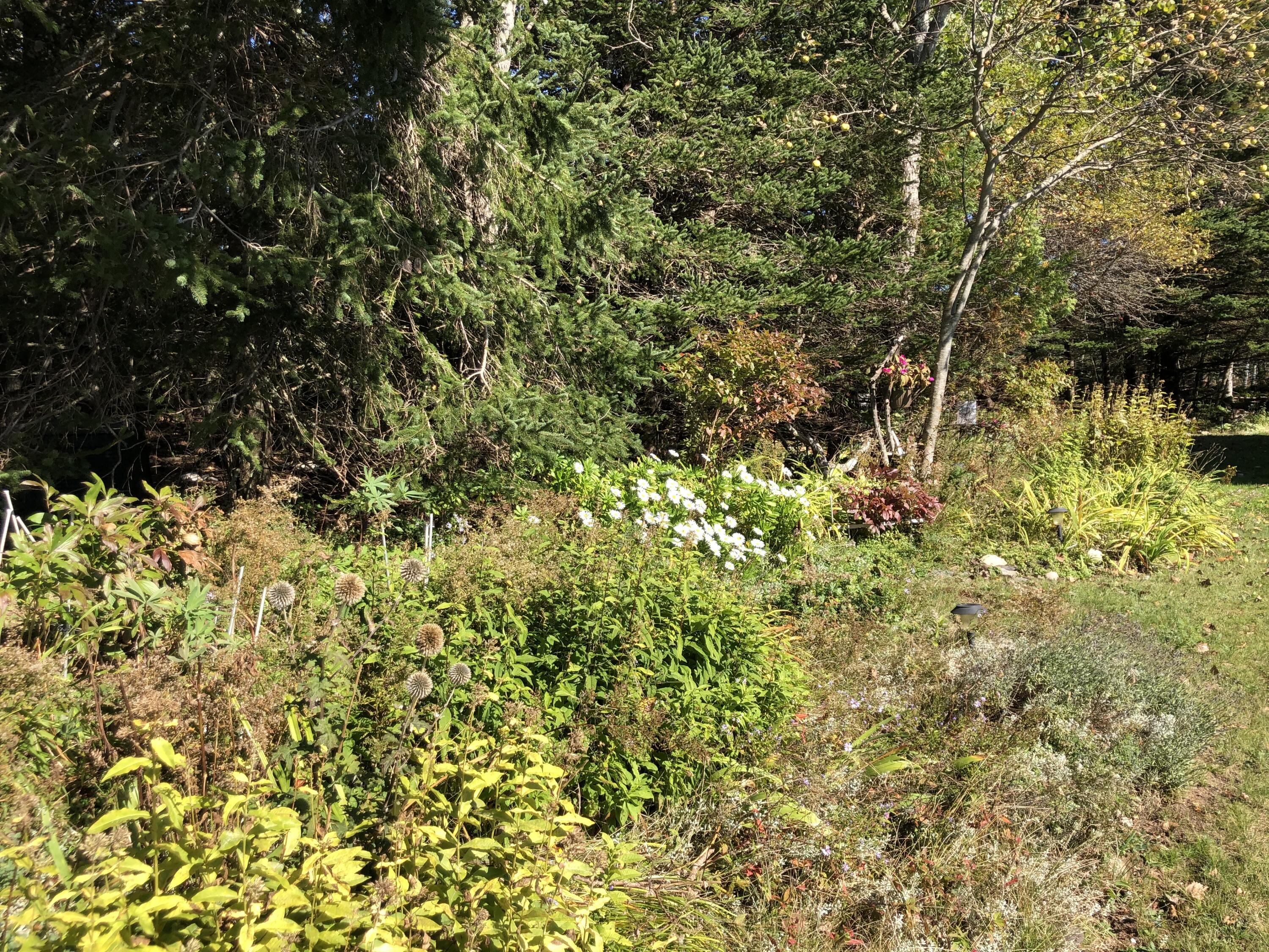 175 Leach Point Road Perry, ME 04667 - Photo 17 of 45 8D7ADAE4-2FBF-418E-A714-8548314BAB28