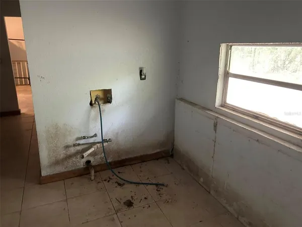a view of a backyard with barn and a large cactus tree