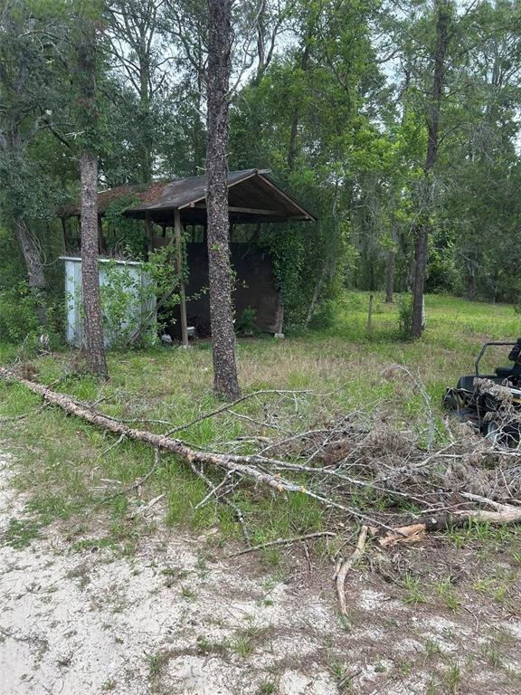 2060 East Mary Lue Street Inverness, FL 34453 - Photo 24 of 25 a view of a house with a yard