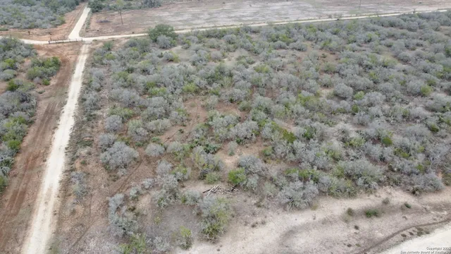 a view of a dry yard