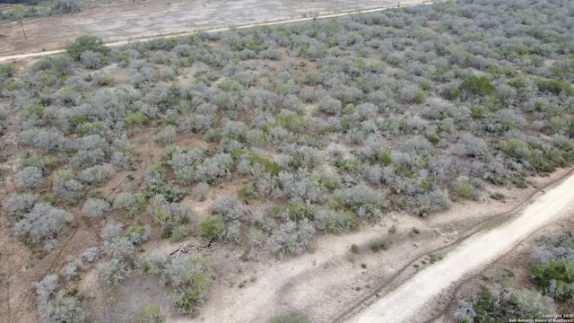 a view of a field with trees in the background