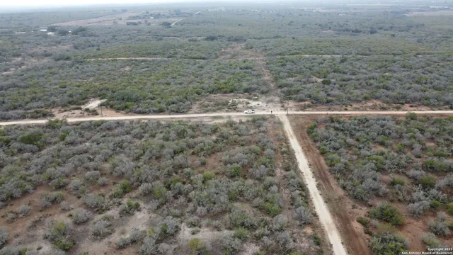 a view of a dry yard