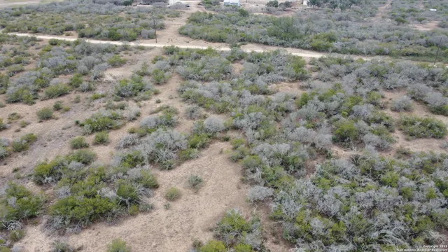 a view of a field with large trees