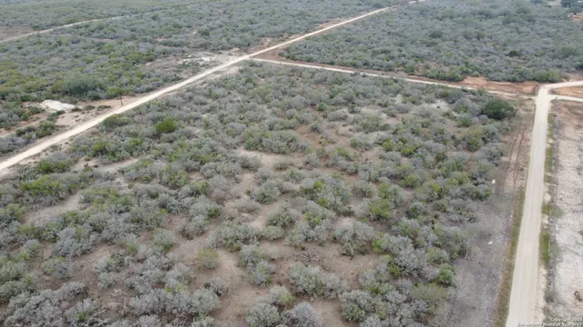 a view of a field with trees in it