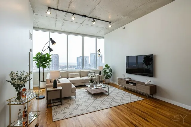 a living room with furniture potted plant and a flat screen tv