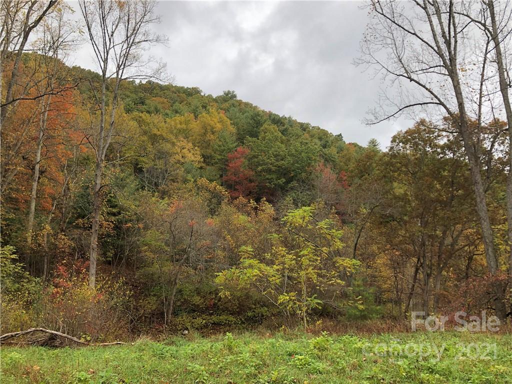 9999 Wild Cat Road Hot Springs, NC 28743 - Photo 1 of 12 Gallery Image 1