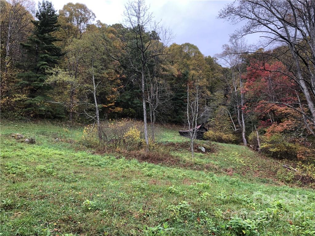 9999 Wild Cat Road Hot Springs, NC 28743 - Photo 2 of 12 Gallery Image 2
