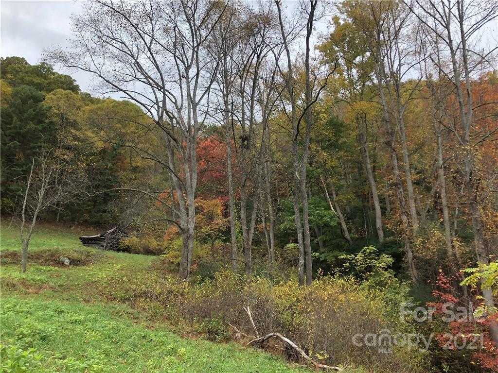 9999 Wild Cat Road Hot Springs, NC 28743 - Photo 11 of 12 Gallery Image 11