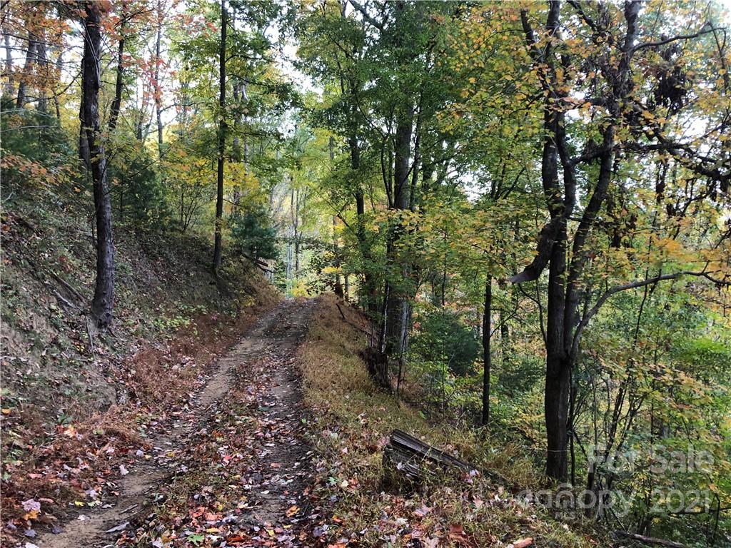 9999 Wild Cat Road Hot Springs, NC 28743 - Photo 7 of 12 Gallery Image 7