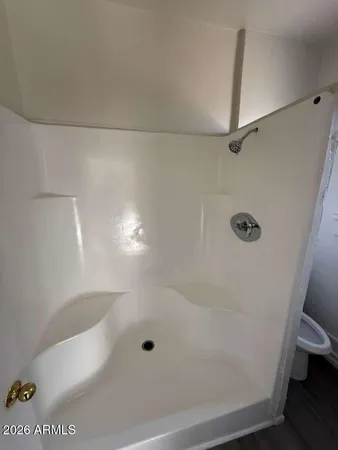 a bathroom with a shower and toilet