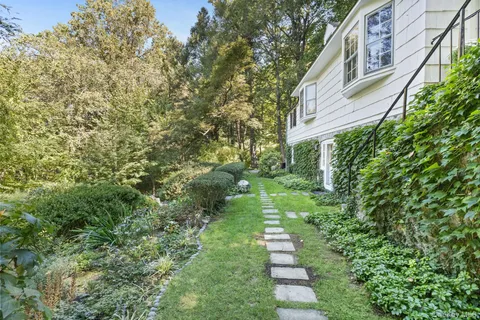 a view of a garden with plants