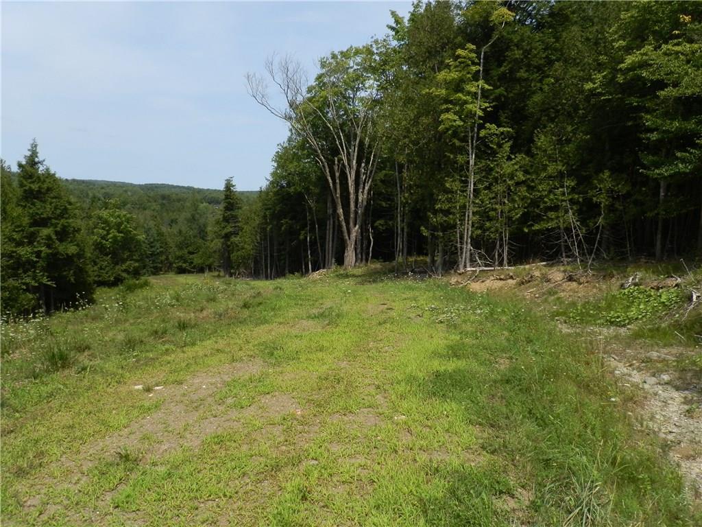 Lot 14 Pullen Road Garland, ME 04939 - Photo 5 of 20 Photo