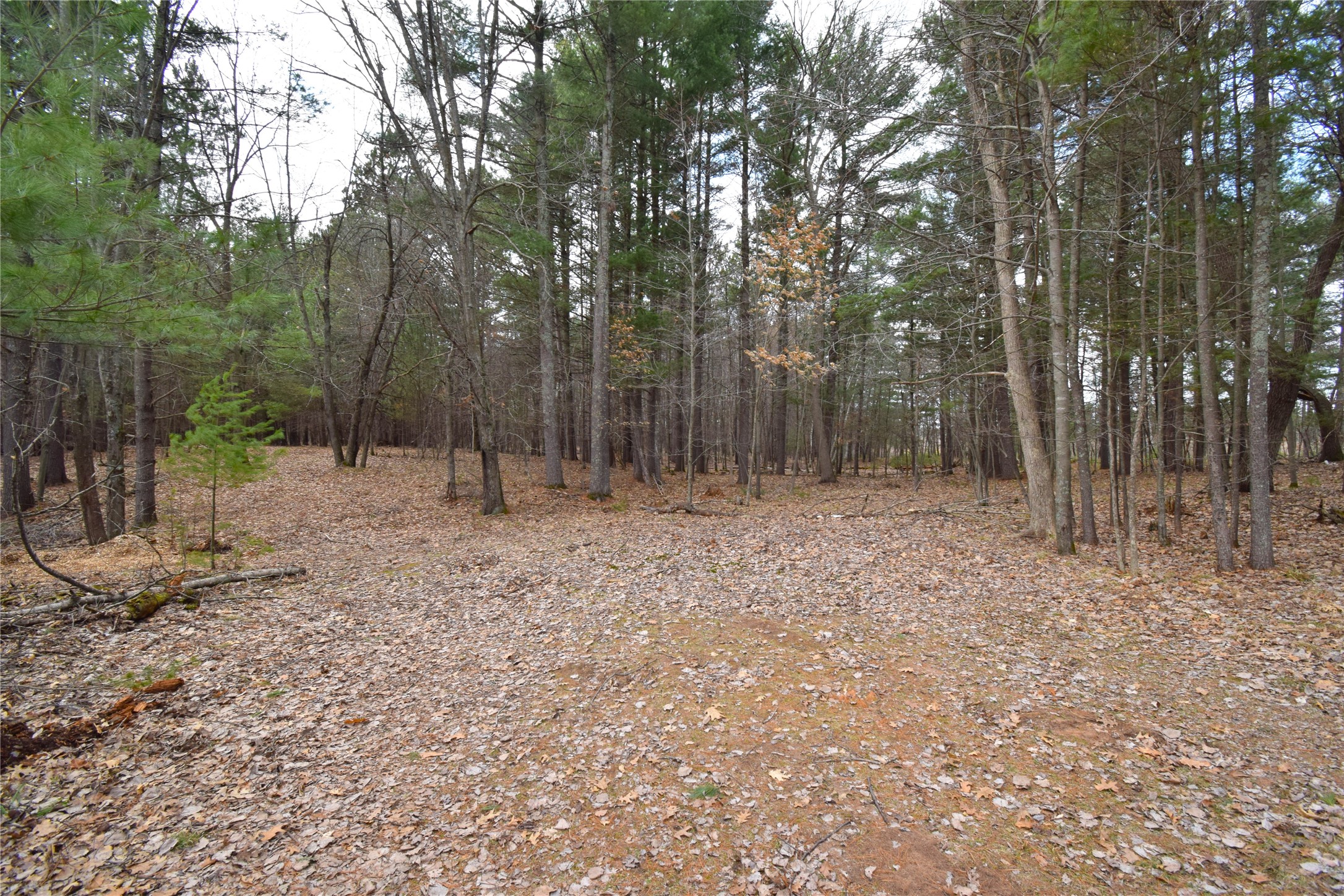 6502 Burnikel Road Siren, WI 54872 - Photo 50 of 60