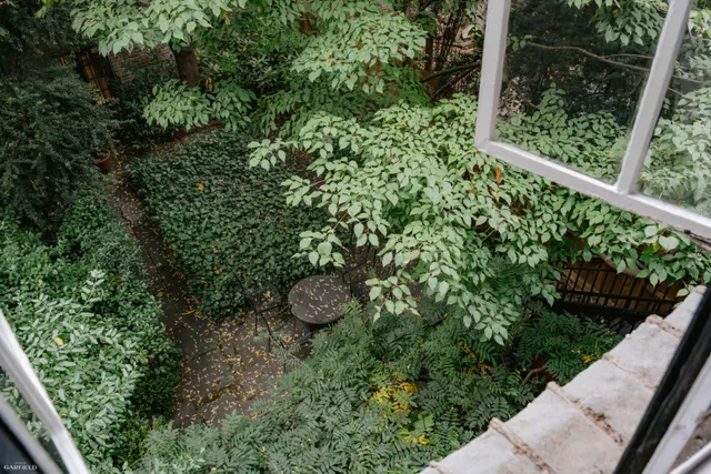 a view of a backyard with plants and tree