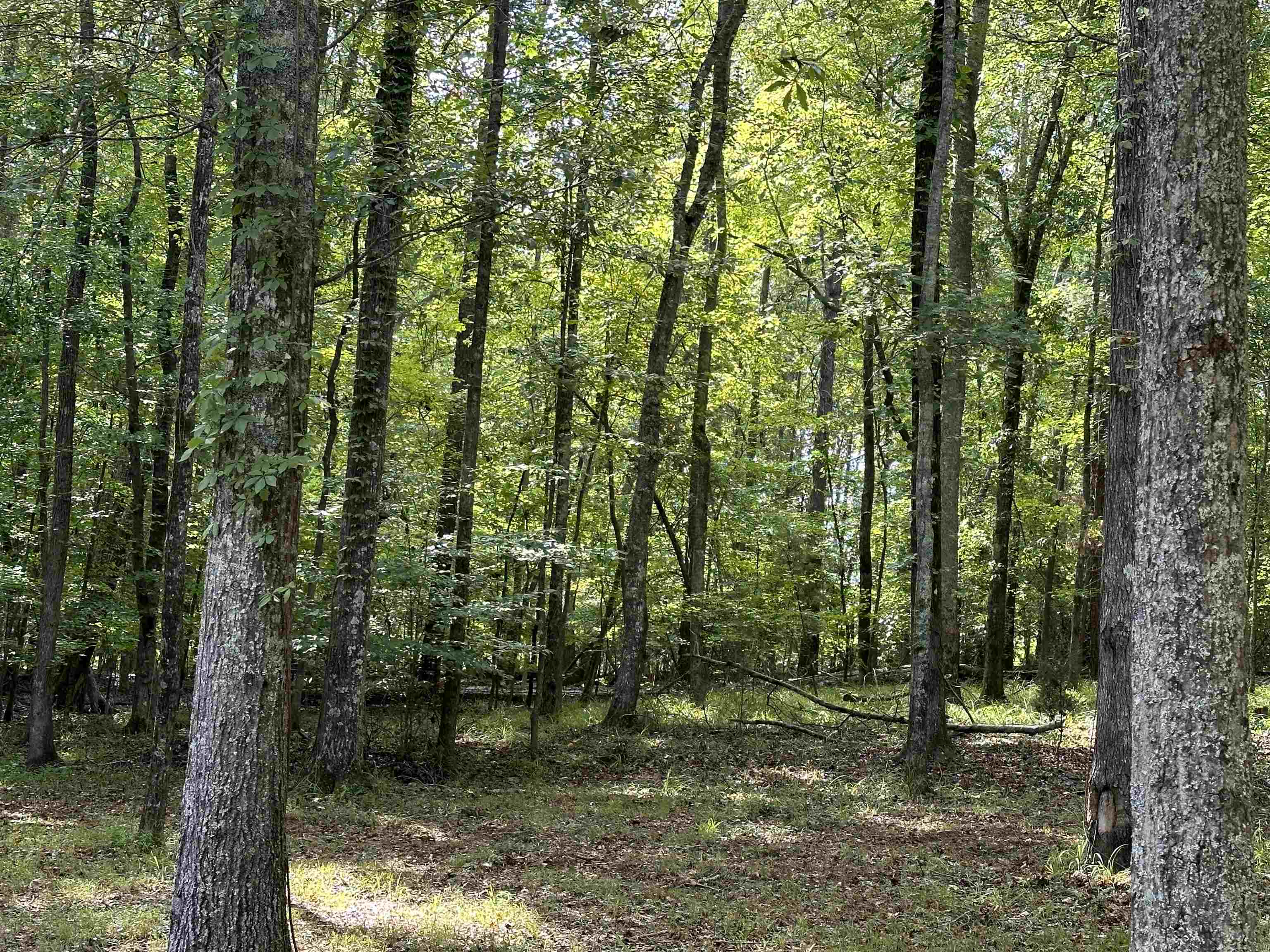 274 Countryside Drive Pacolet, SC 29372 - Photo 5 of 31