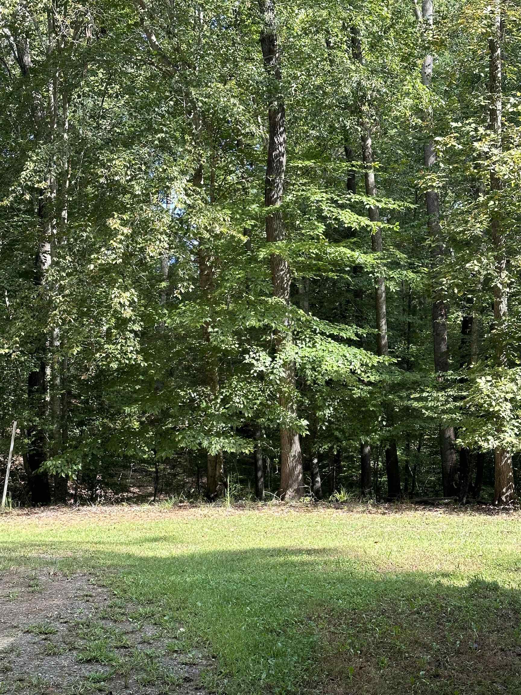 274 Countryside Drive Pacolet, SC 29372 - Photo 6 of 31