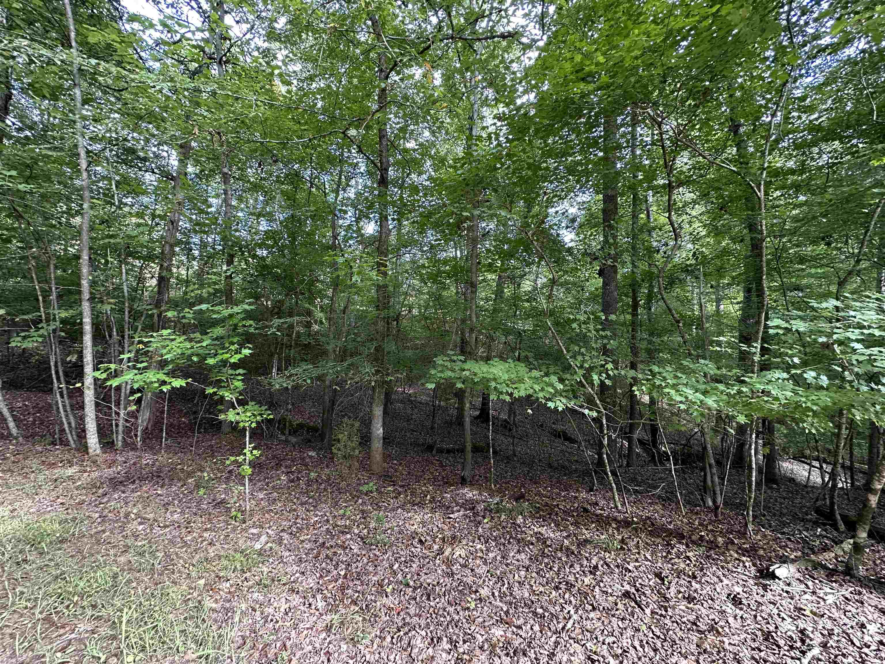 274 Countryside Drive Pacolet, SC 29372 - Photo 7 of 31