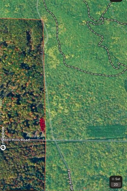 0 Pomeroy Springs Road Manistee, MI 49660 - Photo 7 of 7 IMG_0997