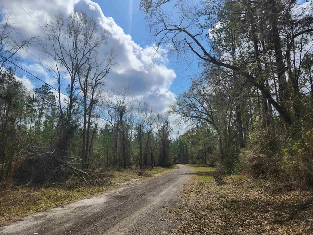 $44,500 | Lot 56 Southwest Paradise Way, Greenville, FL 32331