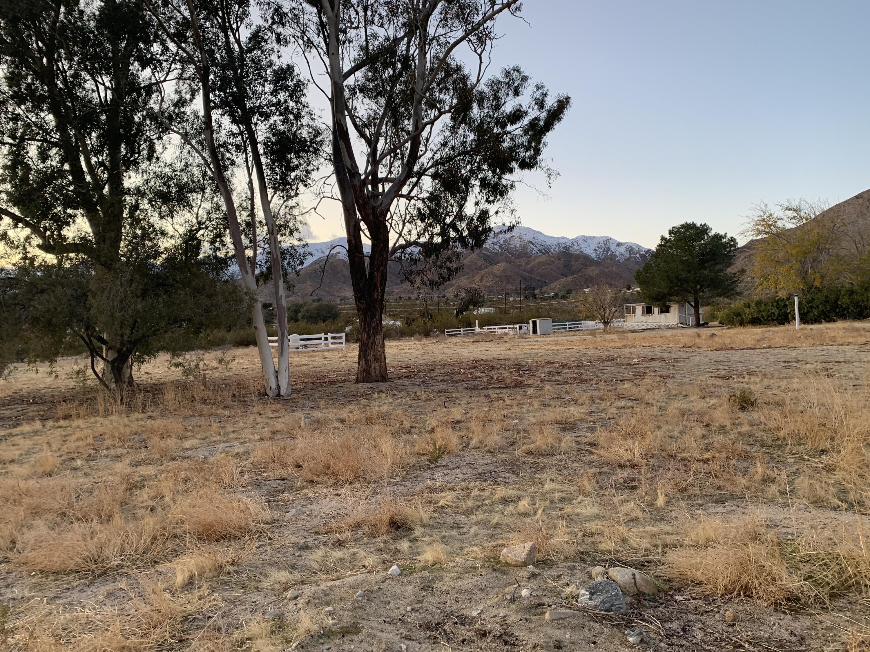 52781 Northridge Road Morongo Valley, CA 92256 - Photo 11 of 22 a view of dirt yard with a tree