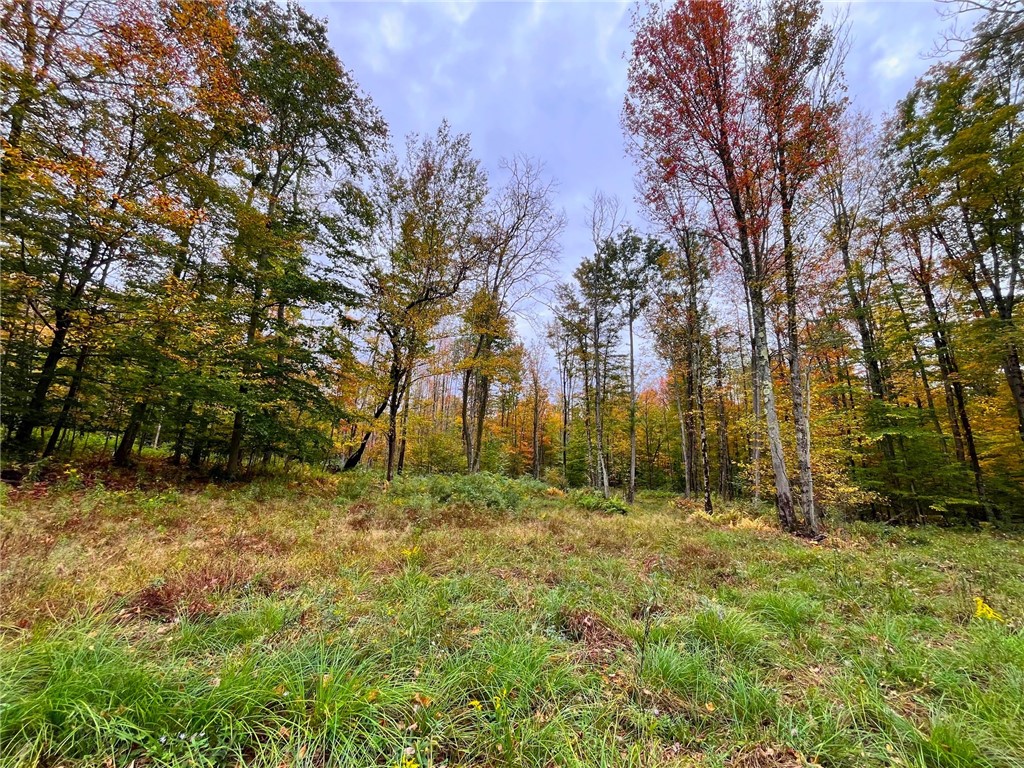 2856 Zimmer Road Scio, NY 14880 - Photo 26 of 50