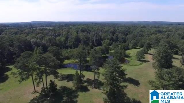 1854 Claud Fleahop Road, Unit 129 4 Eclectic, AL 36024 - Photo 12 of 50