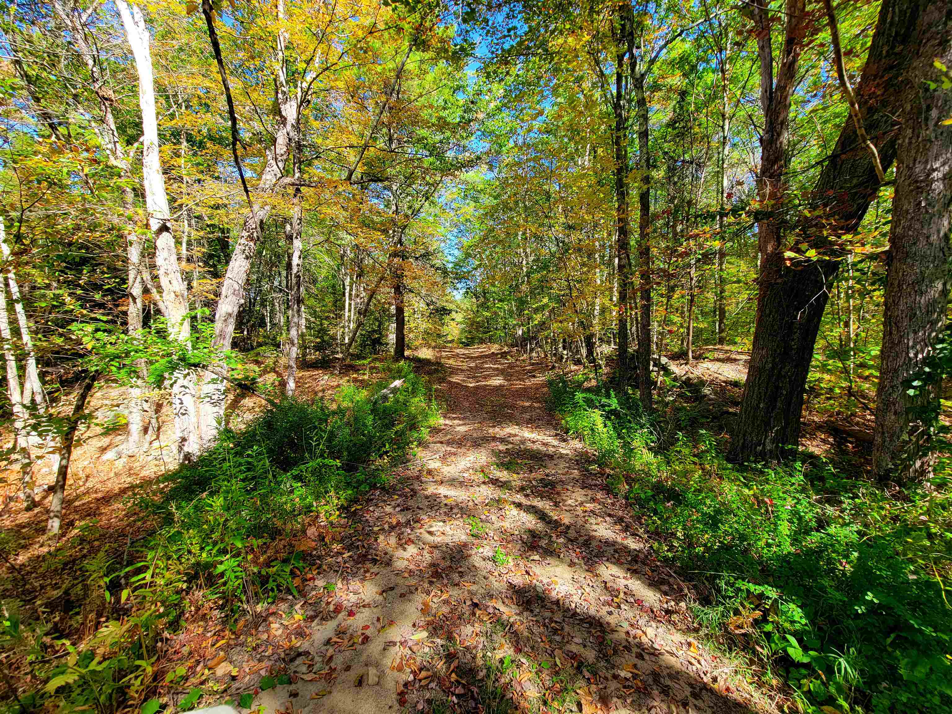 200 Gale Road Gilmanton, NH 03237 - Photo 12 of 43