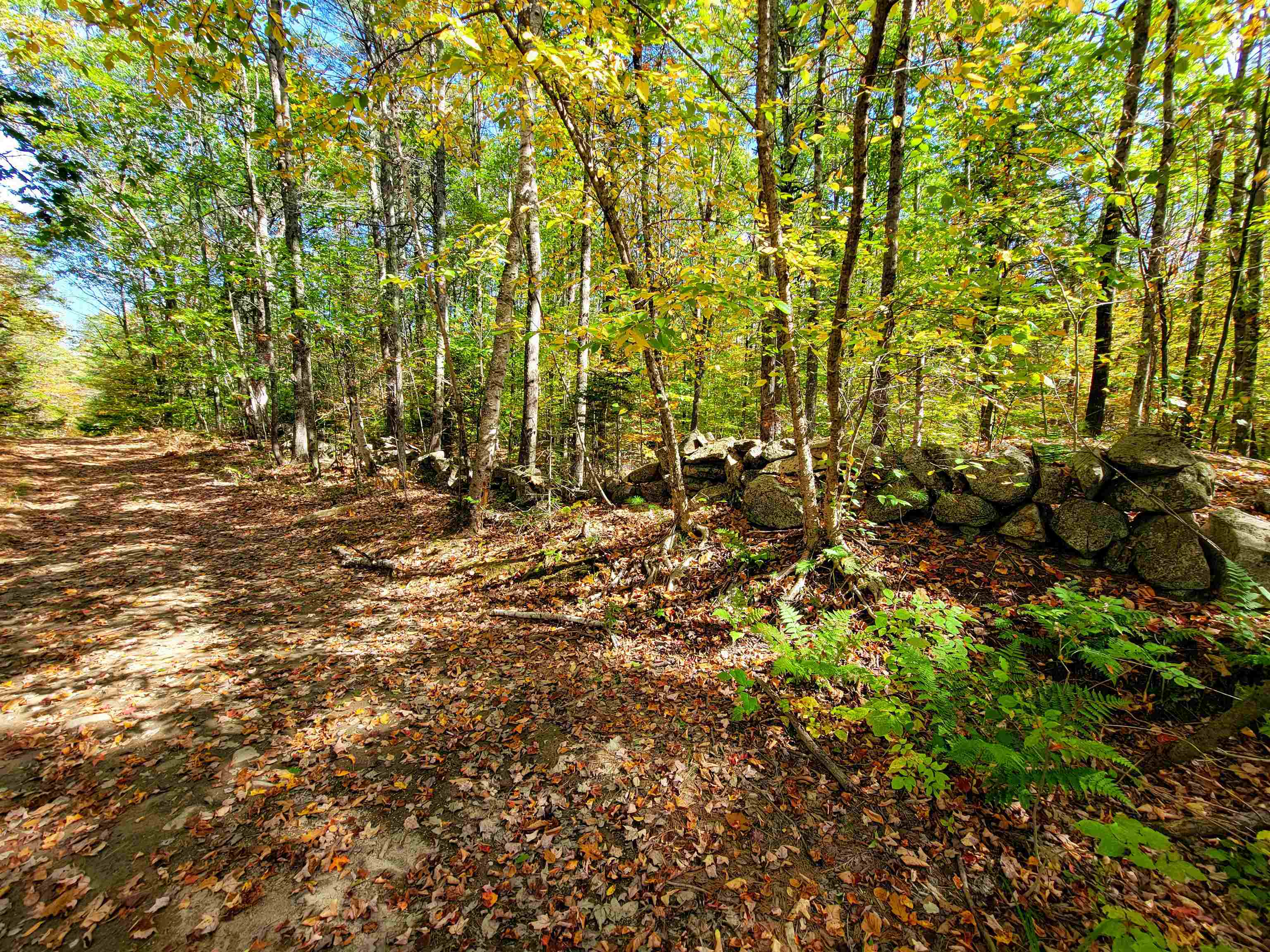 200 Gale Road Gilmanton, NH 03237 - Photo 13 of 43