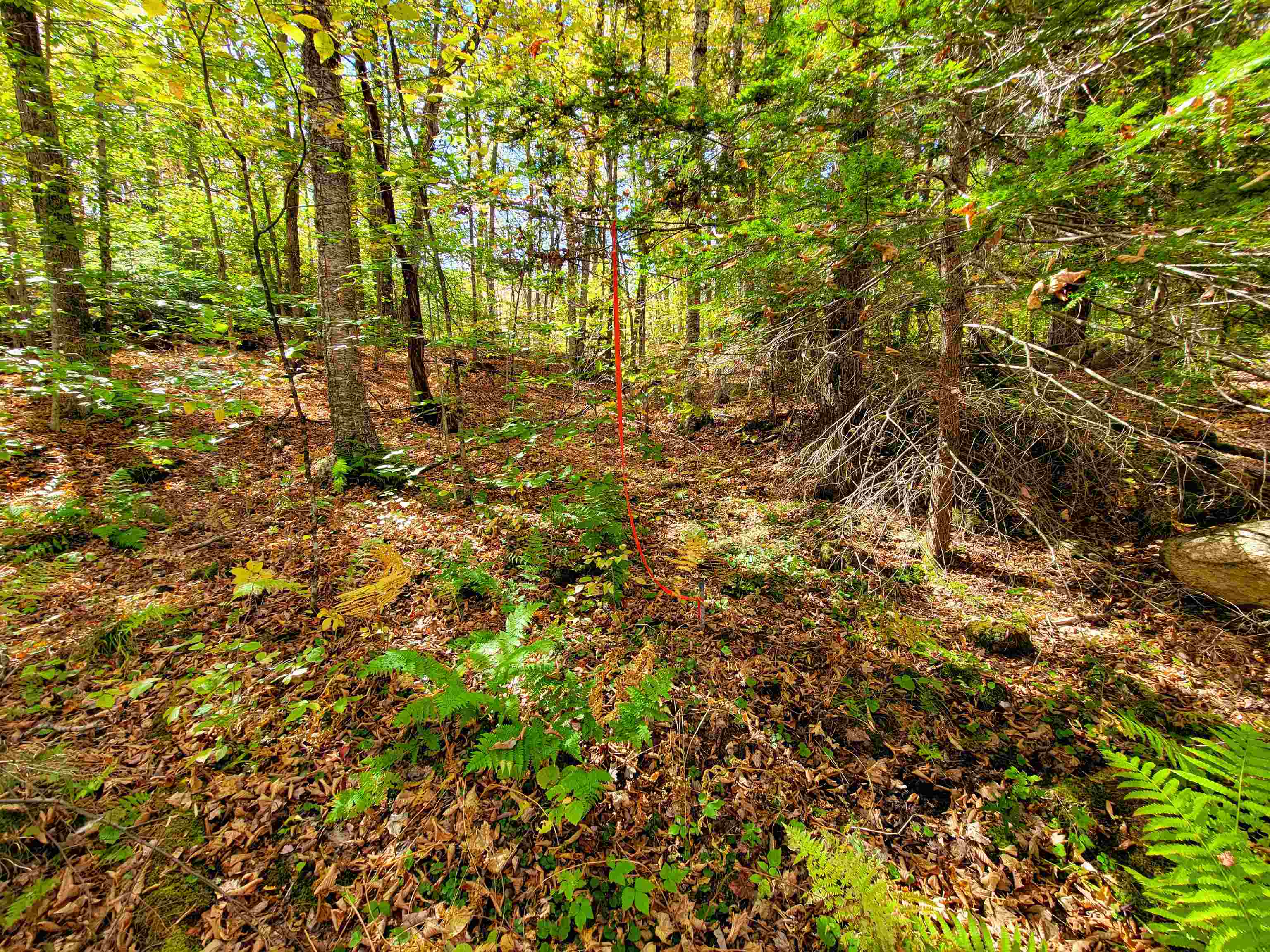 200 Gale Road Gilmanton, NH 03237 - Photo 16 of 43