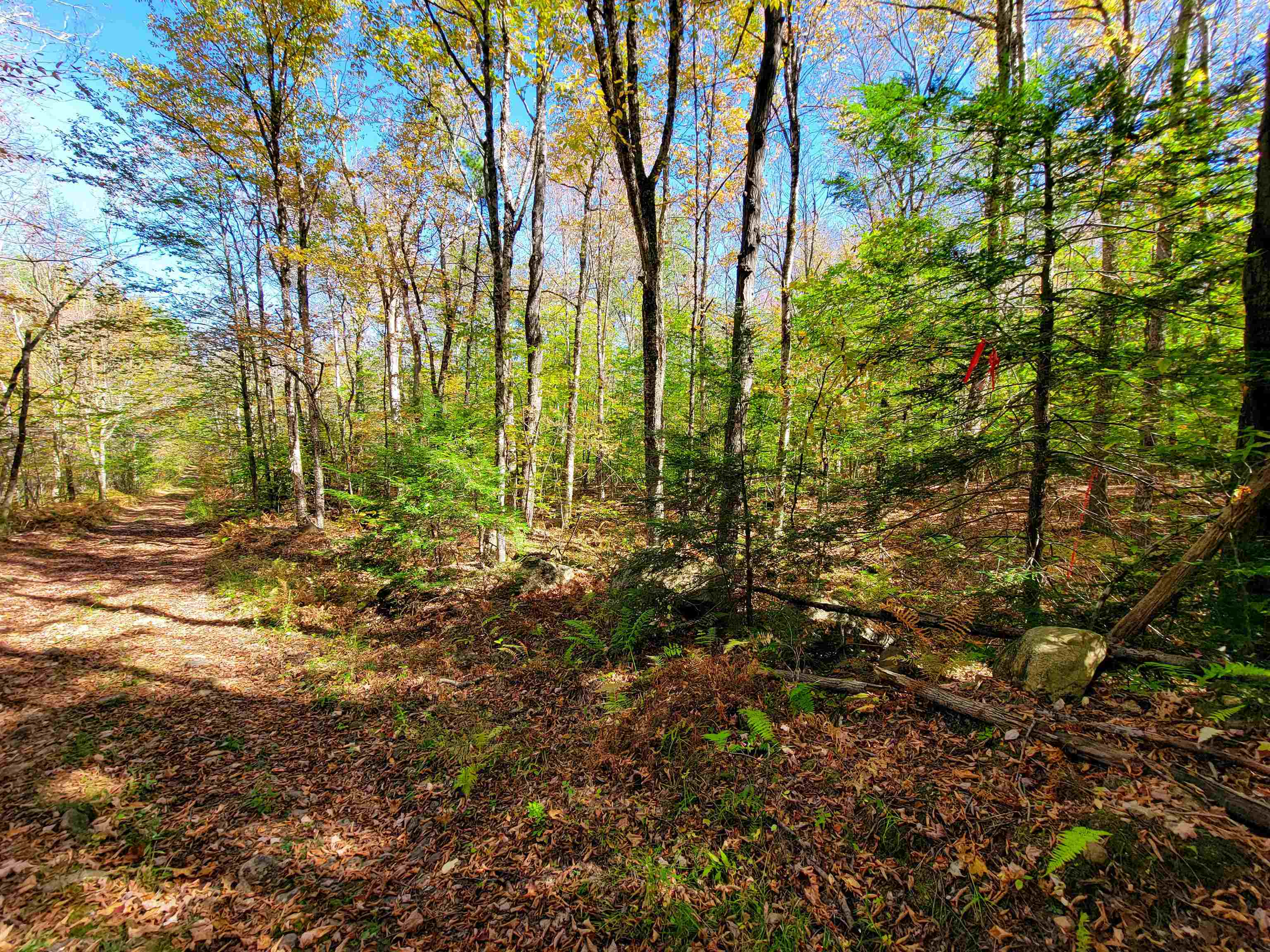 200 Gale Road Gilmanton, NH 03237 - Photo 17 of 43