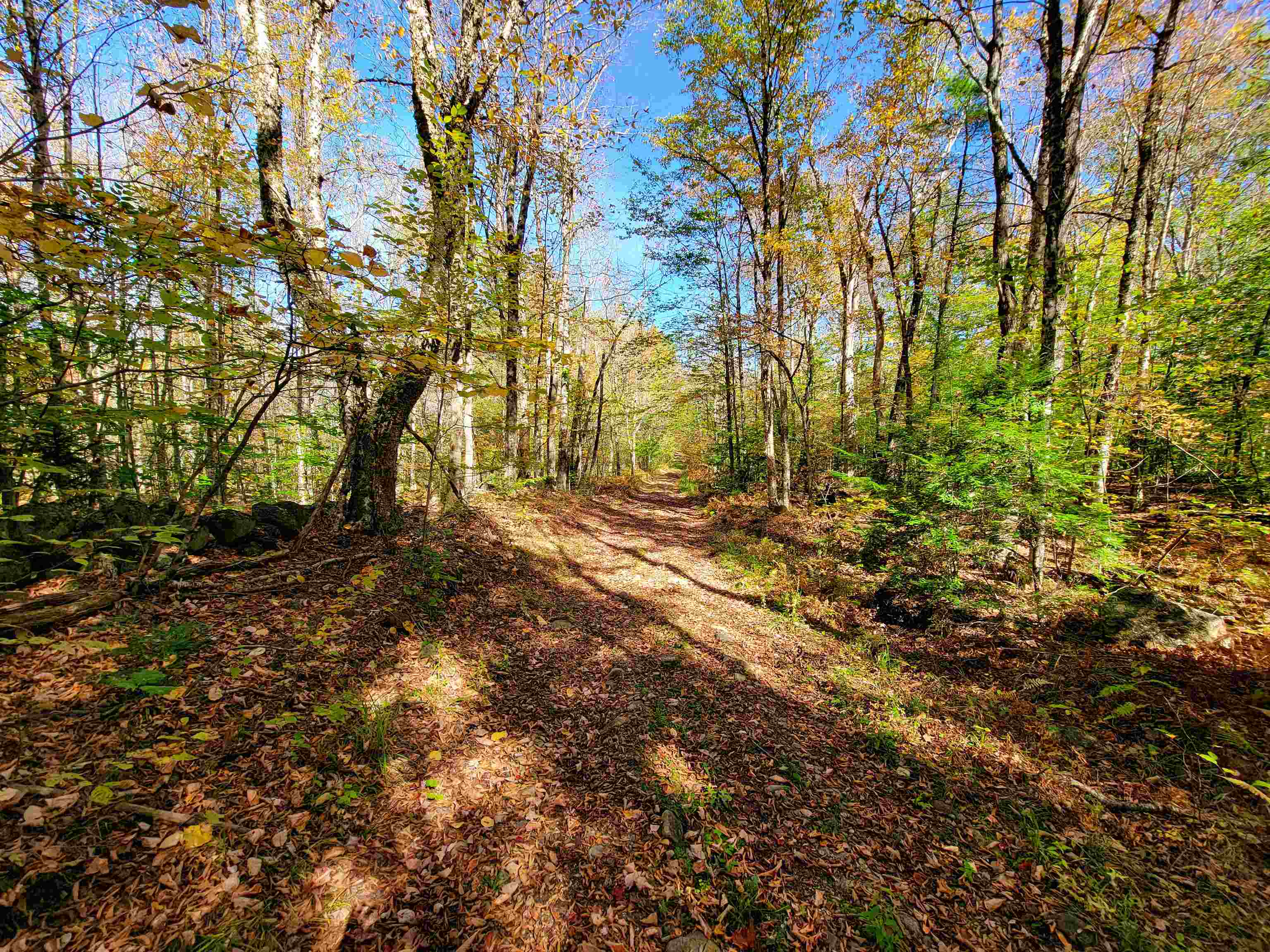 200 Gale Road Gilmanton, NH 03237 - Photo 20 of 43