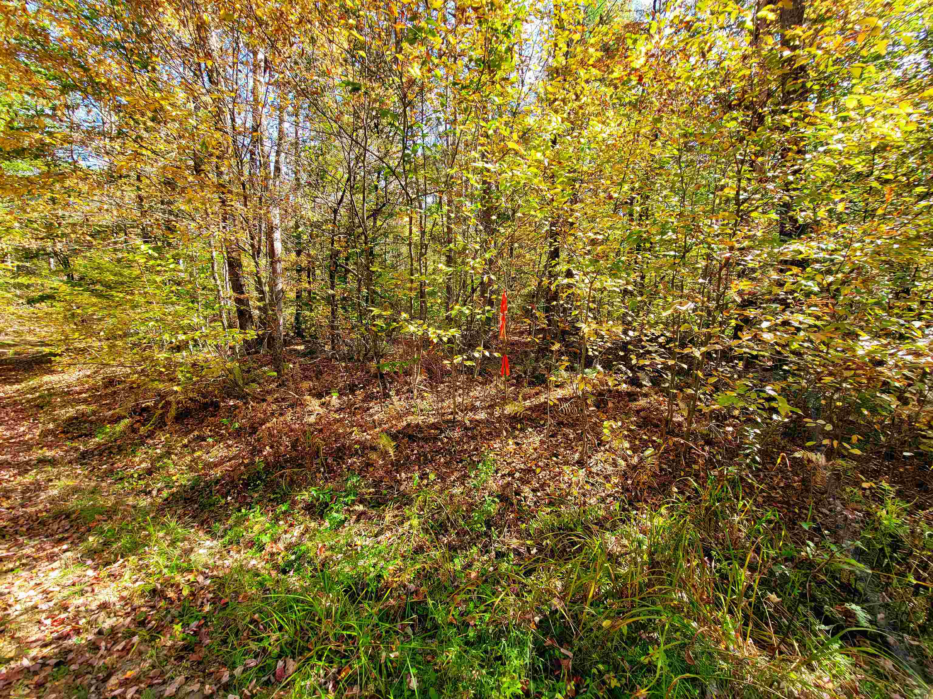 200 Gale Road Gilmanton, NH 03237 - Photo 21 of 43