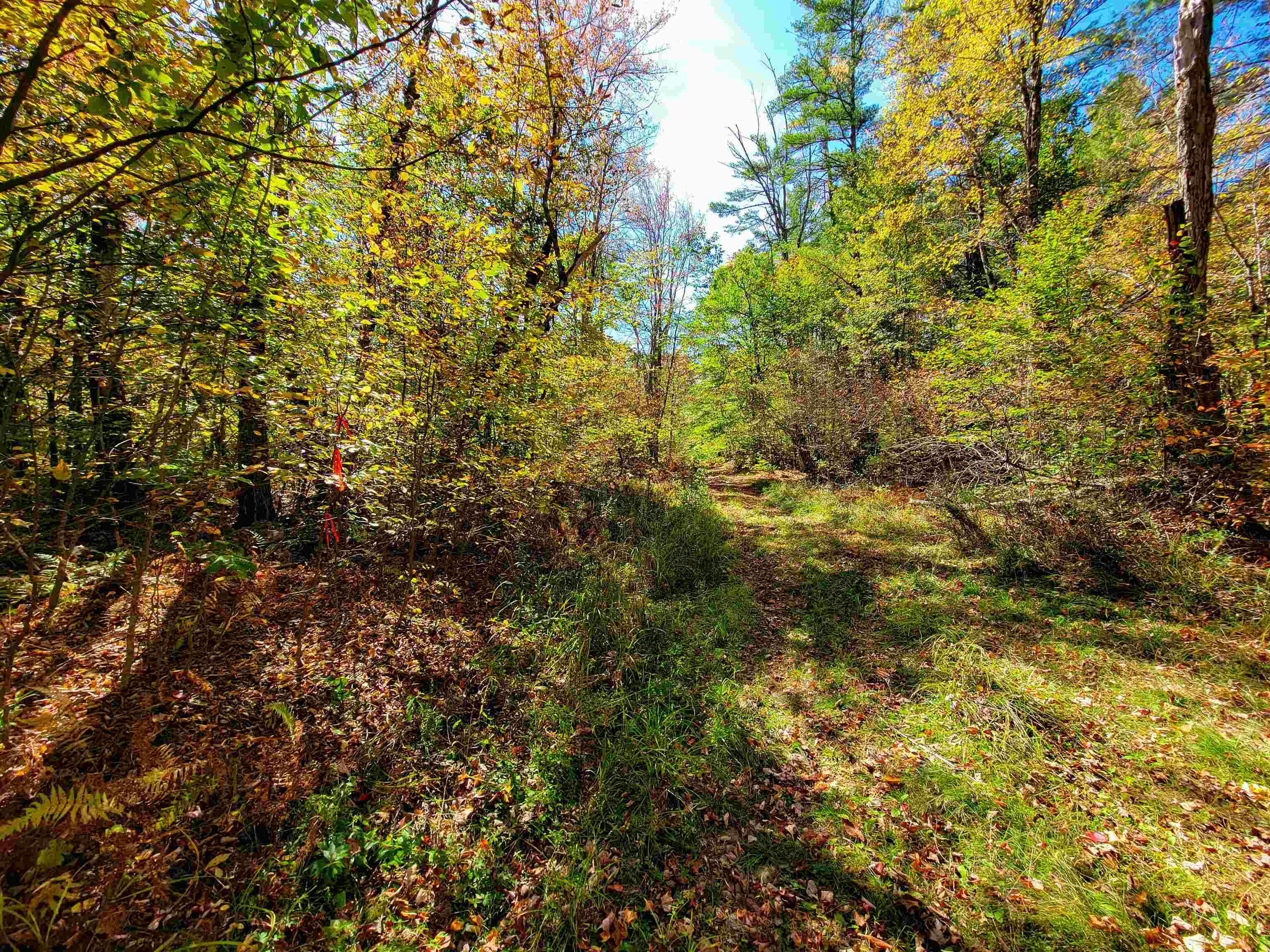 200 Gale Road Gilmanton, NH 03237 - Photo 22 of 43