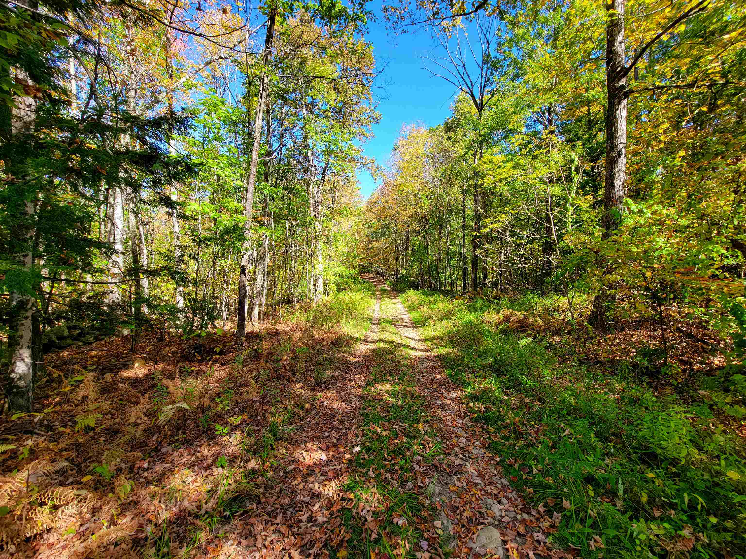 200 Gale Road Gilmanton, NH 03237 - Photo 23 of 43