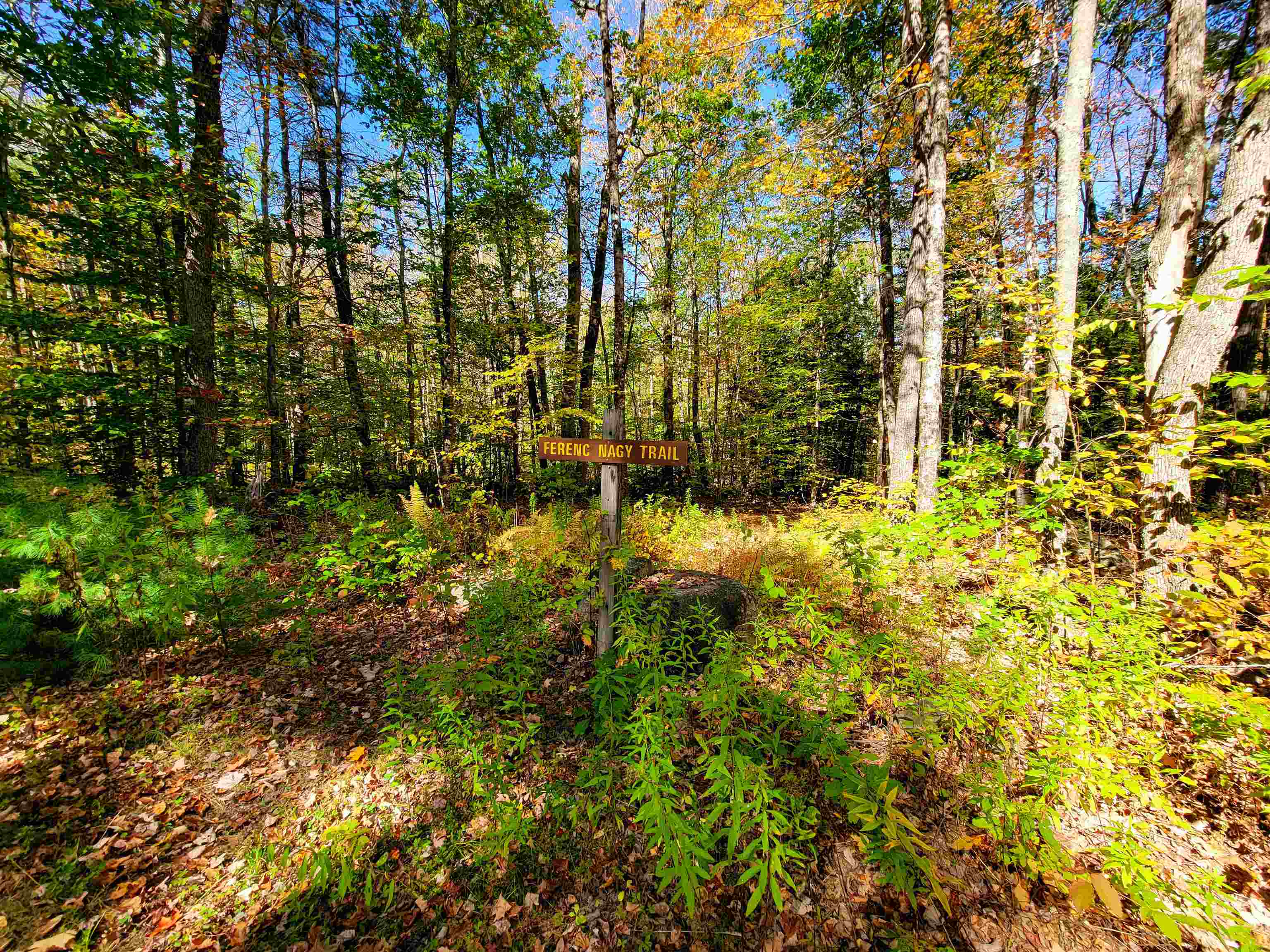200 Gale Road Gilmanton, NH 03237 - Photo 32 of 43