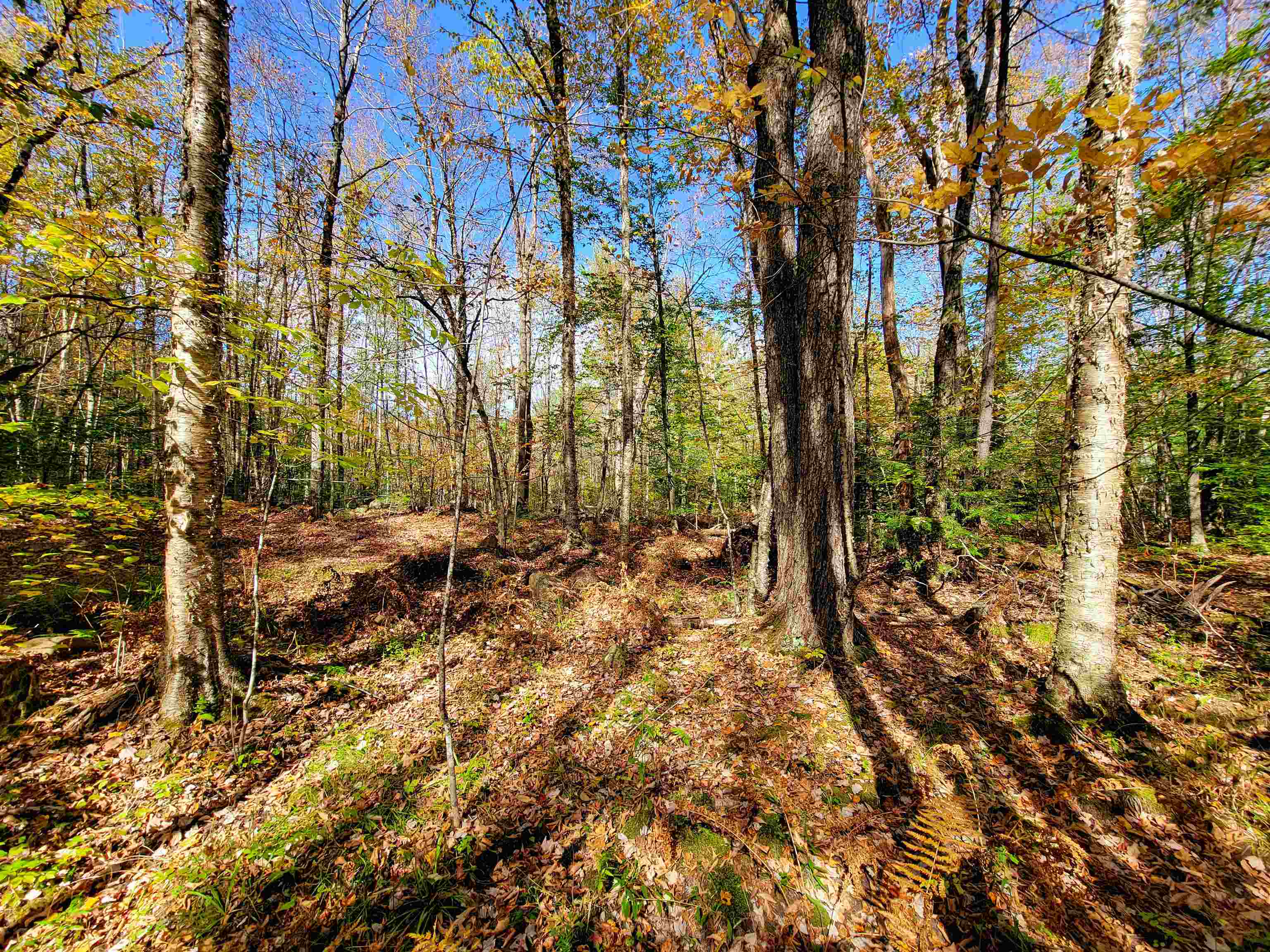 200 Gale Road Gilmanton, NH 03237 - Photo 8 of 43