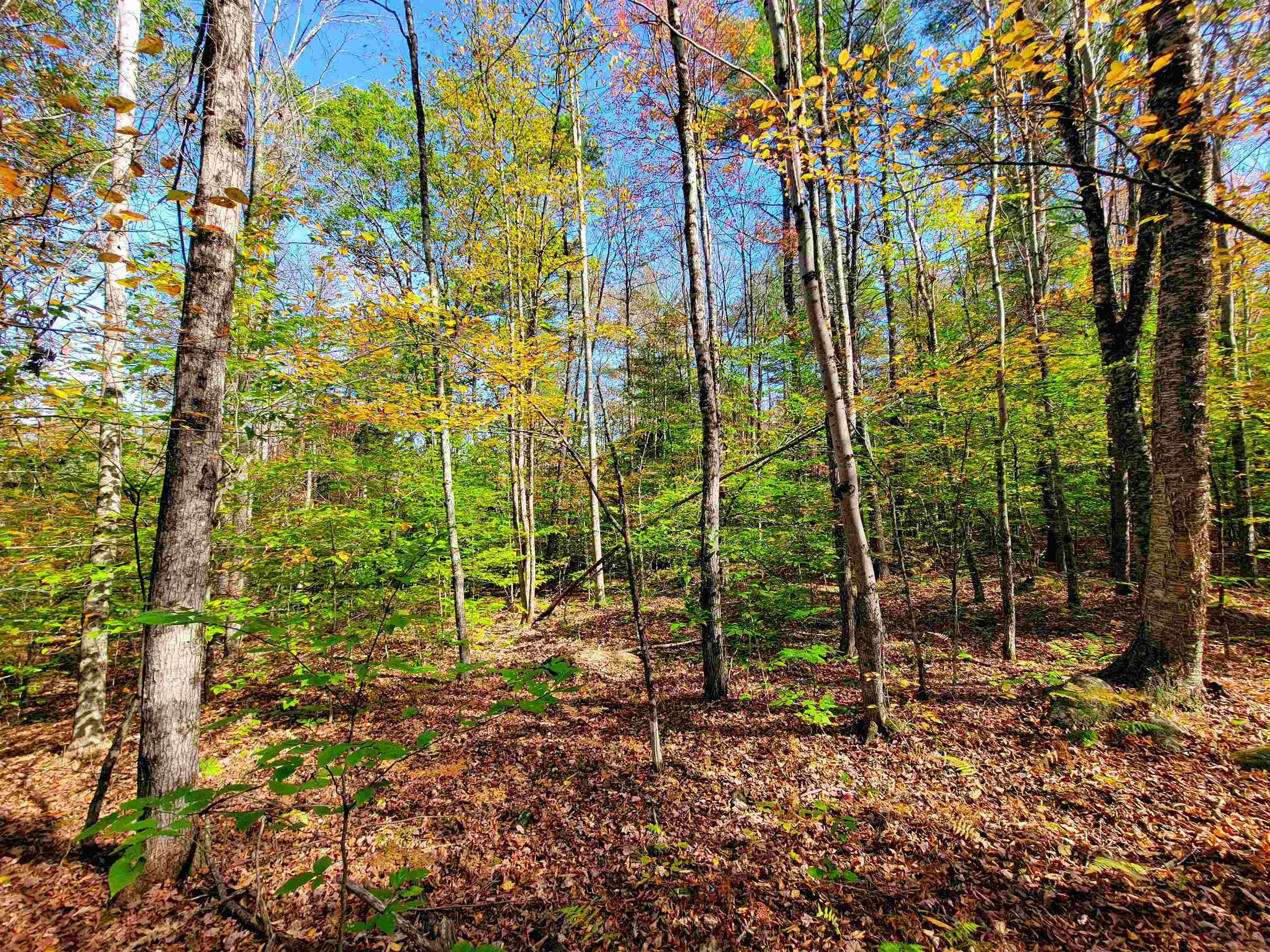 200 Gale Road Gilmanton, NH 03237 - Photo 9 of 43