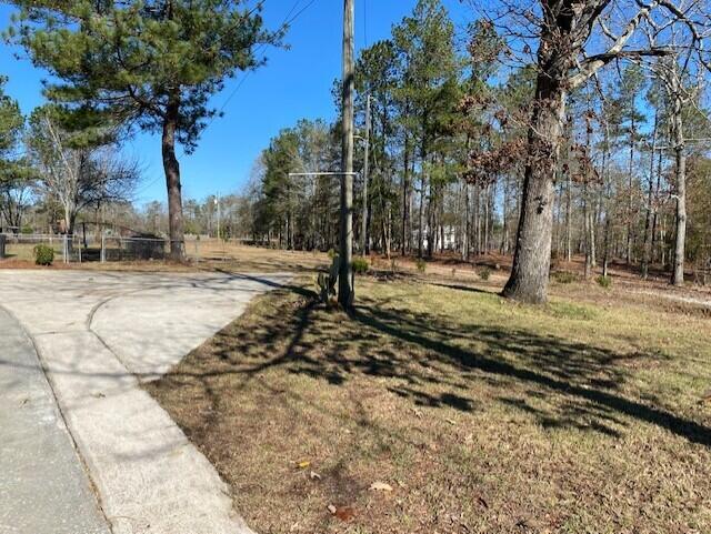 1045 County Line Road Blythe, GA 30805 - Photo 31 of 39 cl11