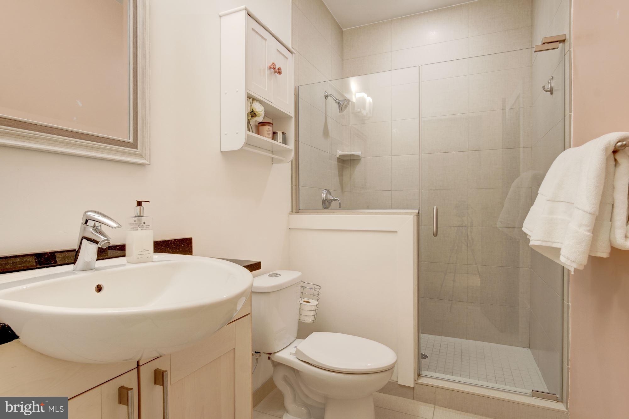 239 R Street Northeast, Unit A Washington, DC 20002 - Photo 25 of 29 Master Bath