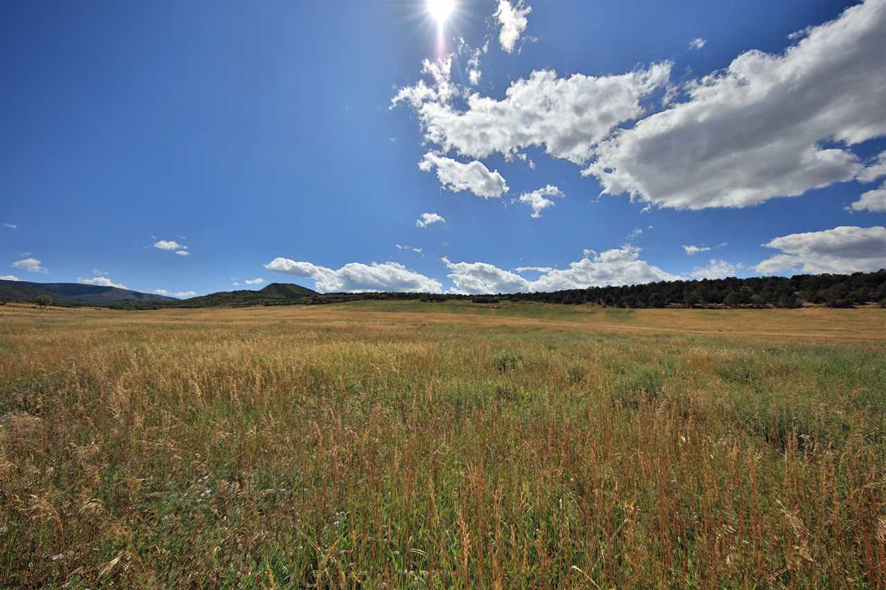 12134 58 Road Collbran, CO 81624 - Photo 2 of 3 Gallery Image 2