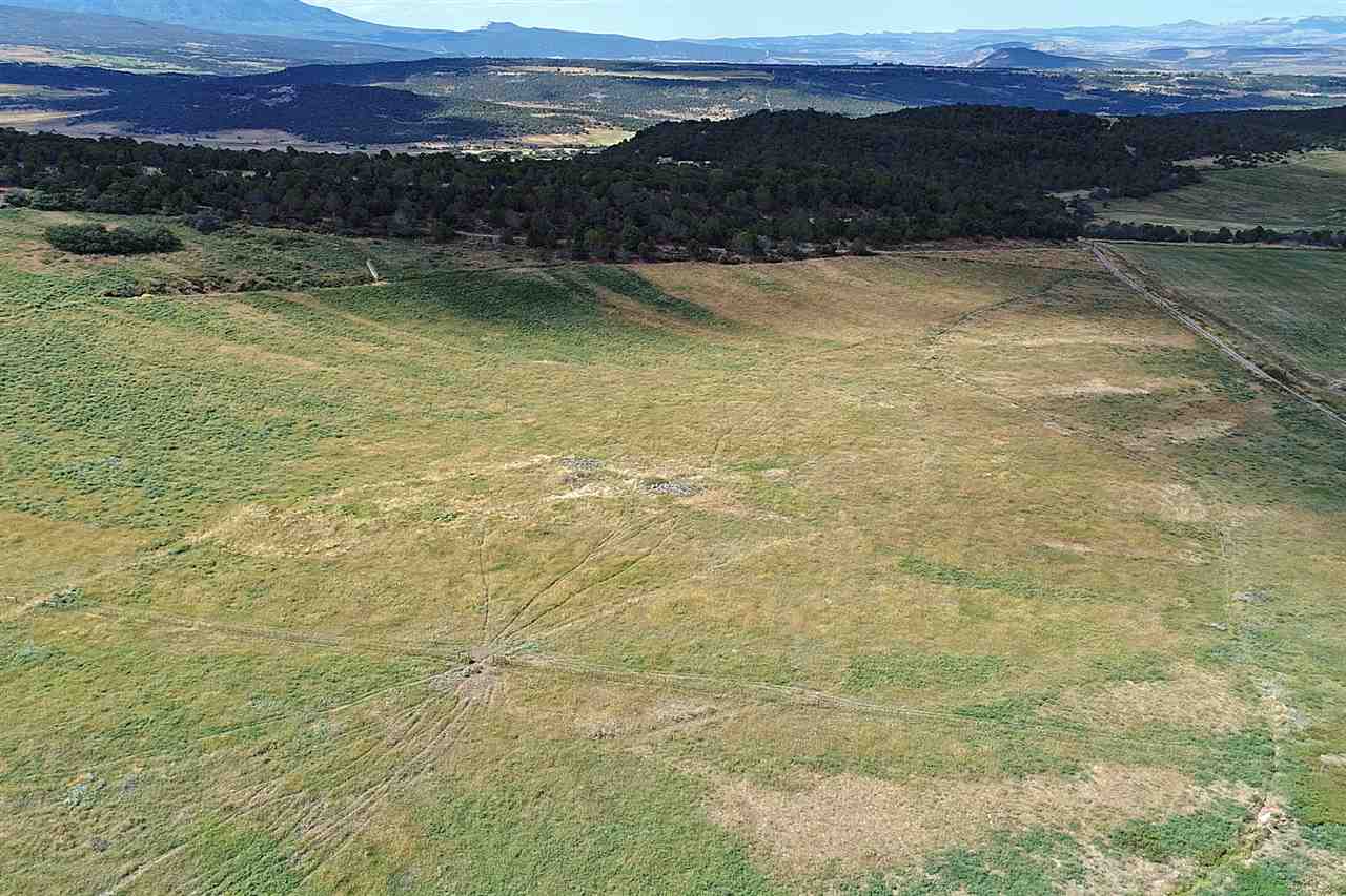 12134 58 Road Collbran, CO 81624 - Photo 3 of 3 Gallery Image 3