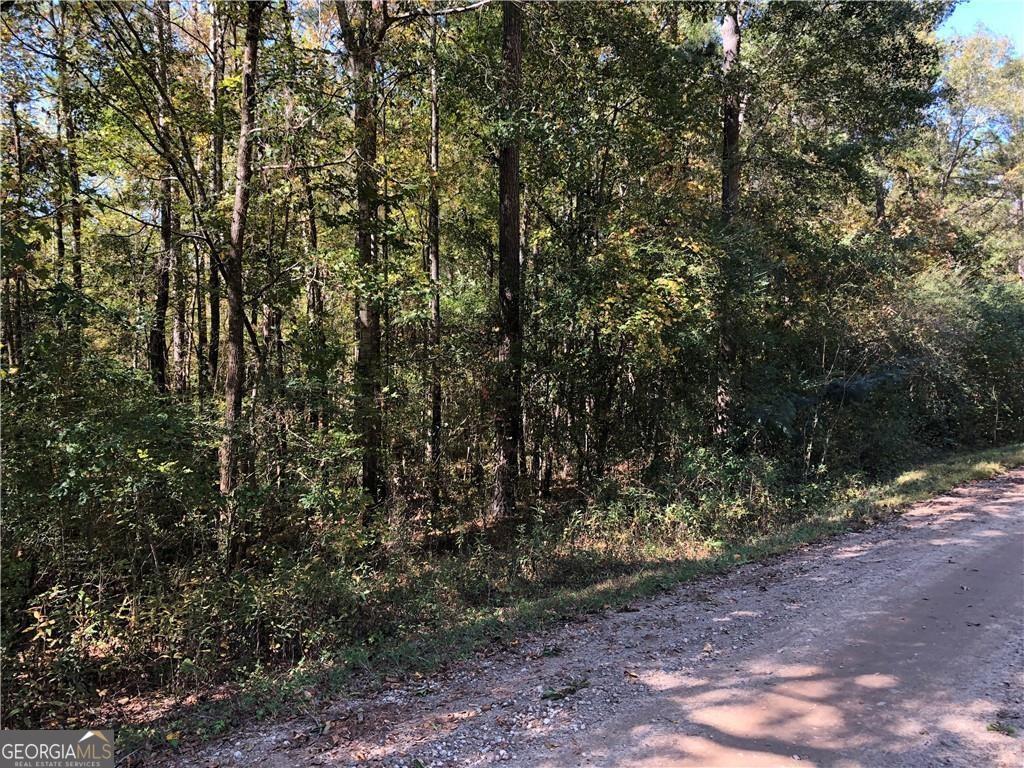 0 Coady Road Jackson, GA 30233 - Photo 1 of 1 Gallery Image 1