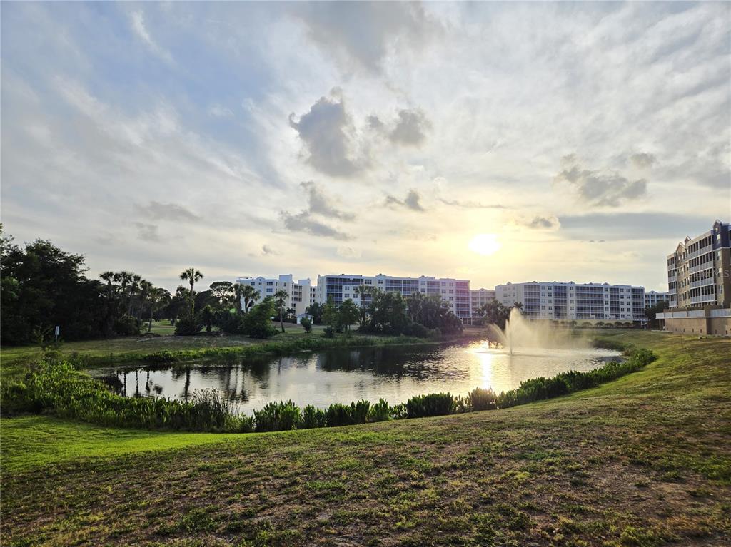 960 Starkey Road, Unit 9206 Largo, FL 33771 - Photo 74 of 79 Gallery Image 74