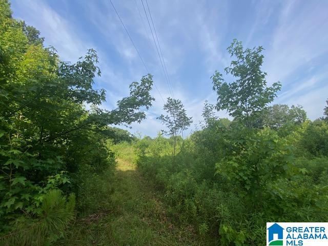 0 Highway 231, Unit 88 / AC Cleveland, AL 35049 - Photo 17 of 20