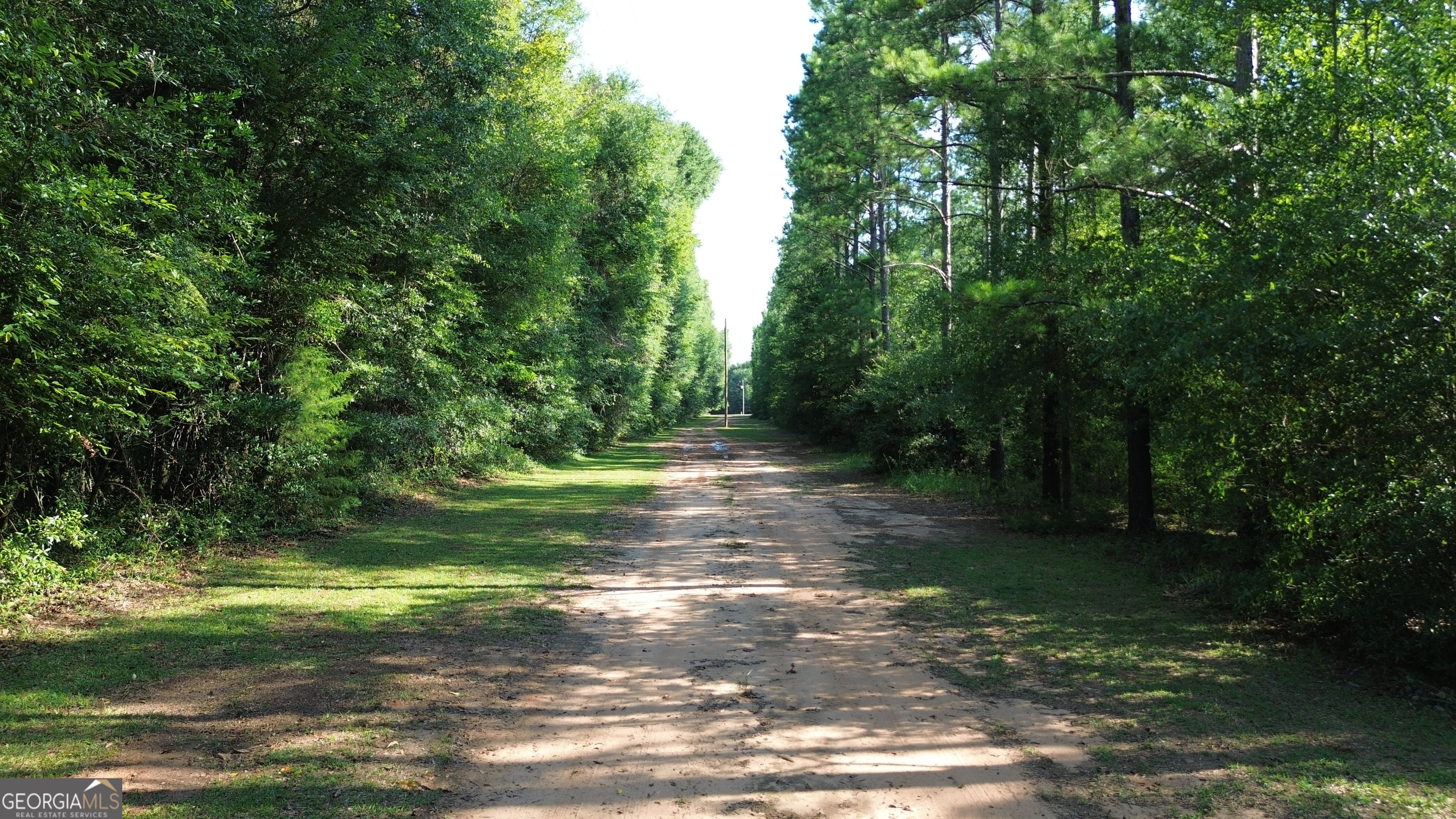 1895 Tv Tower Road Parrott, GA 39877 - Photo 35 of 36